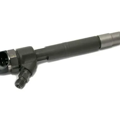Bosch Fuel Injector 648 070 03 87