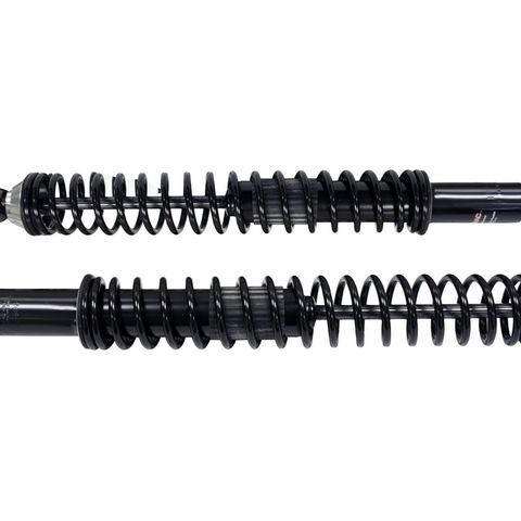 Monroe Rear Shock Absorber and Coil Spring Assembly 58653