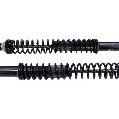 Monroe Rear Shock Absorber and Coil Spring Assembly 58653