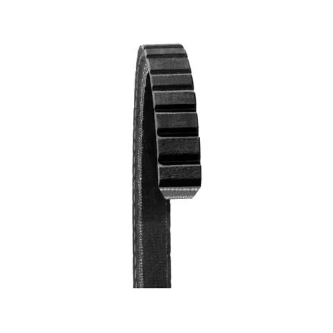 Dayco Air Conditioning and Power Steering Accessory Drive Belt 15545