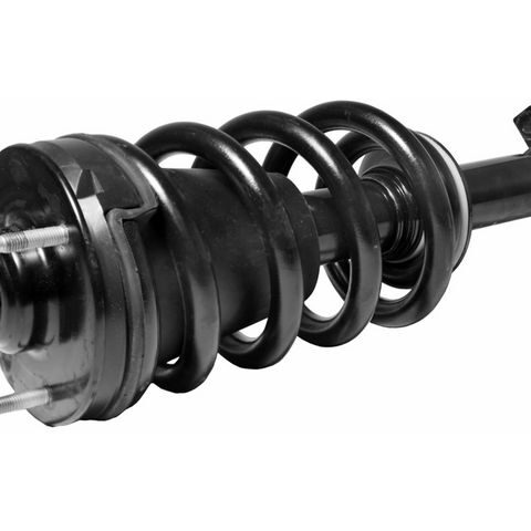Monroe Front Strut and Coil Spring Assembly 139105