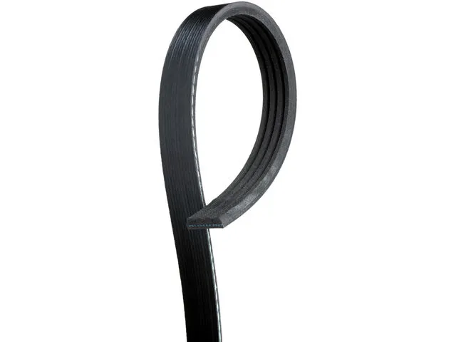 AC Delco Multi Rib Belt