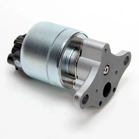 Delphi EGR Valve EG10169