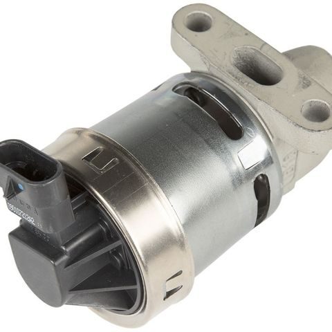 Delphi EGR Valve EG10172