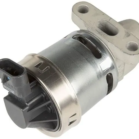 Delphi EGR Valve EG10172