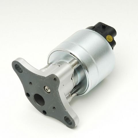 Delphi EGR Valve EG10176