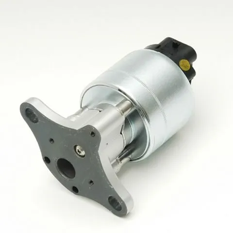 Delphi EGR Valve EG10176