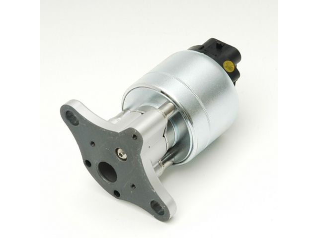 Delphi EGR Valve