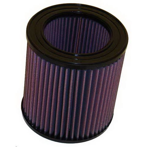 K&N Air Filter E-0890