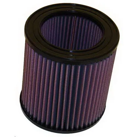 K&N Air Filter E-0890