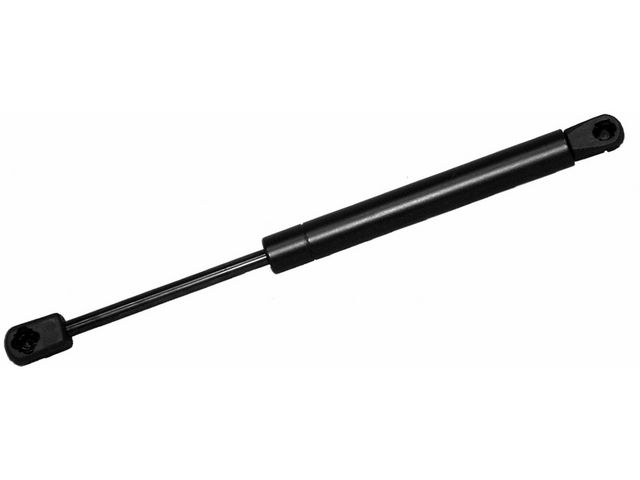 Monroe Trunk Strut
