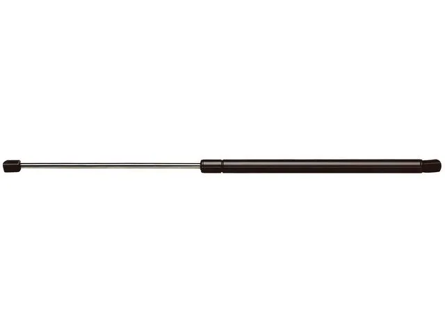 Rhino Pac Liftgate Lift Support