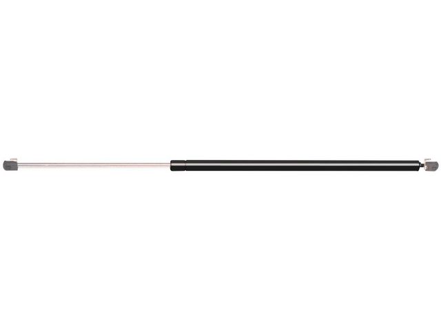Rhino Pac Hatch Strut