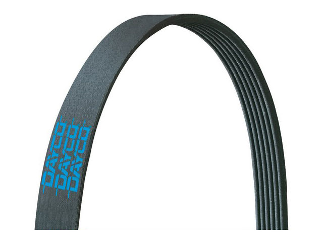 Dayco Multi Rib Belt