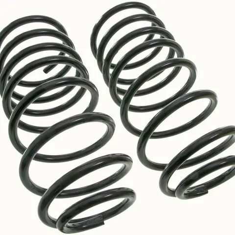 Moog Rear Coil Spring Set CC81035