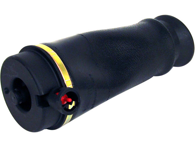 Arnott Air Spring