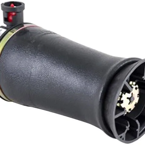 Arnott Rear Air Spring A-2153