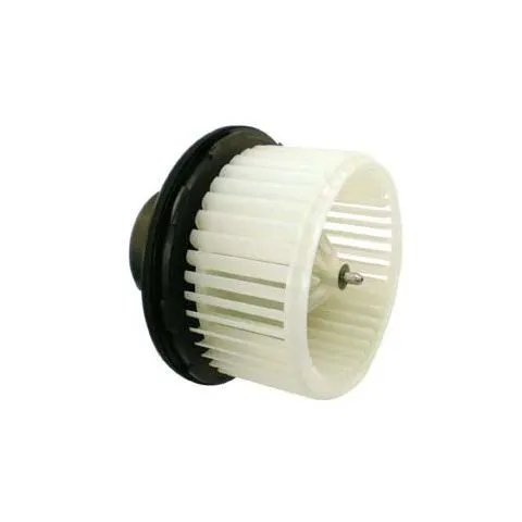 TYC Front Blower Motor 700164