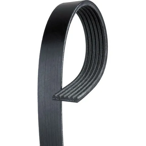 AC Delco Multi Rib Belt 6K834