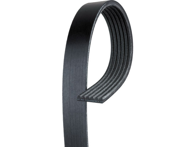 AC Delco Multi Rib Belt