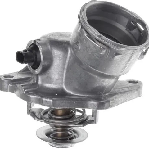Mahle Thermostat TM 29 100D