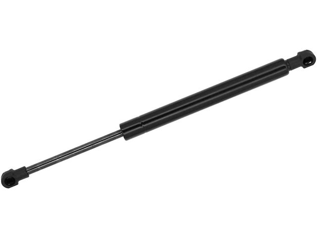 Monroe Trunk Strut