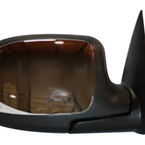 TYC Right Mirror 2170231
