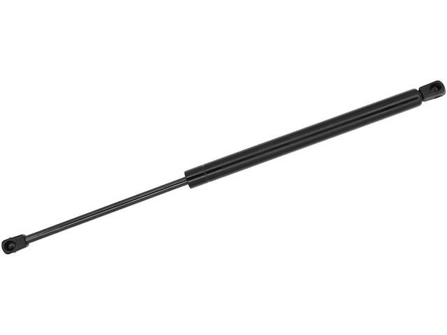 Monroe Trunk Strut