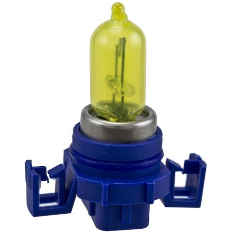 Hella Fog Light Bulb H71071302