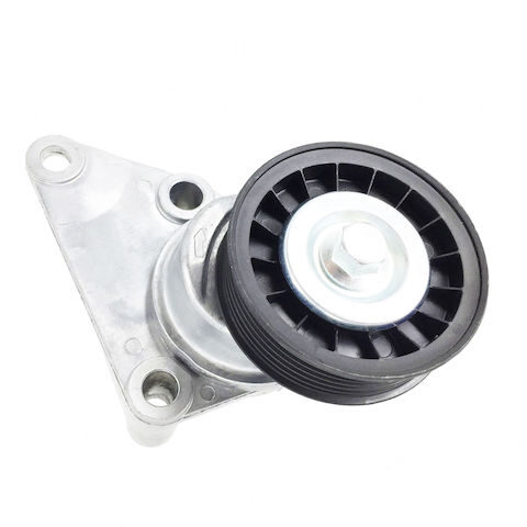 SKP Drive Belt Tensioner Pulley SKAPV3038
