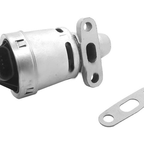 Forecast EGR Valve 9173