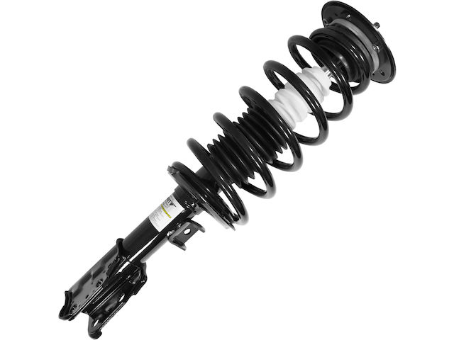 Unity Strut and Coil Spring Assembly