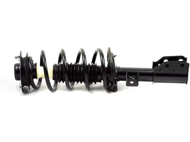 Gabriel Strut and Coil Spring Assembly
