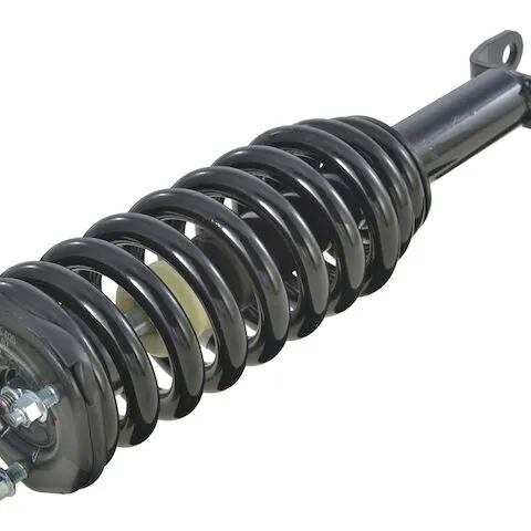 API Front Strut and Coil Spring Assembly 30142-07616612