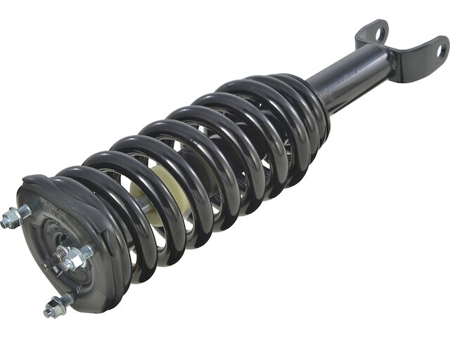 API Strut and Coil Spring Assembly