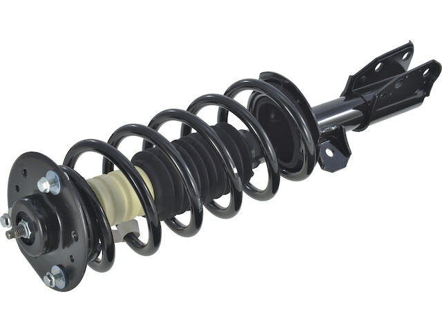 API Strut and Coil Spring Assembly