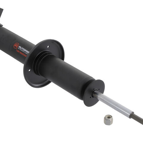 API Front Shock Absorber 3111-07483854