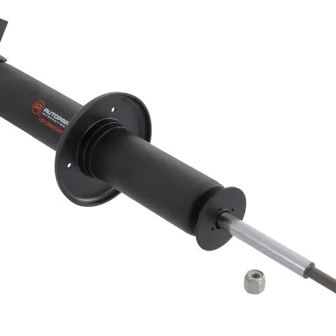 API Front Shock Absorber 3111-07483854