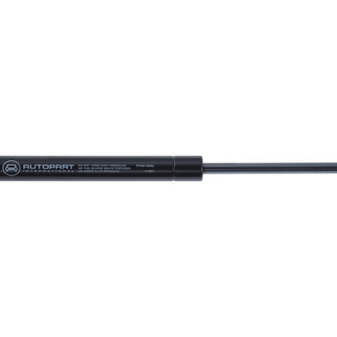 API Trunk Strut 28821-07972673