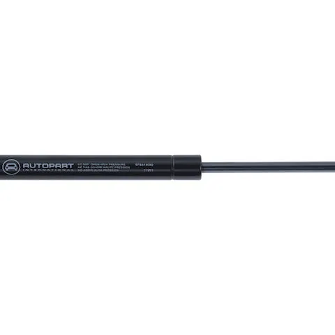 API Trunk Strut 28821-07972673