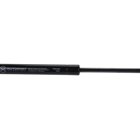 API Hood Strut 17924-07343945