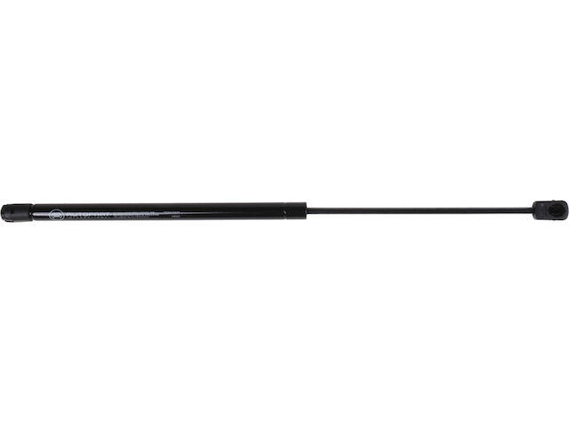 API Tailgate Strut
