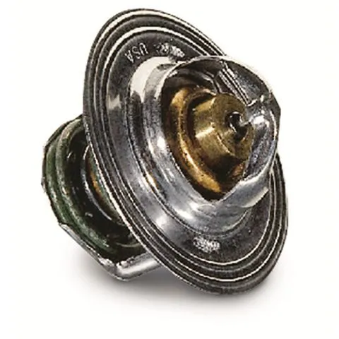 Jet Chips Thermostat 10170