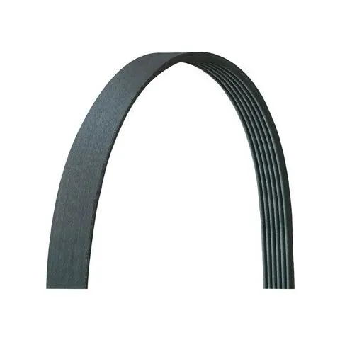 Dayco Main Drive Multi Rib Belt 5060855DR