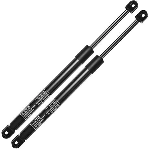 Autopart Premium Rear Tailgate Driver & Passenger Tailgate Strut Set APGS1072