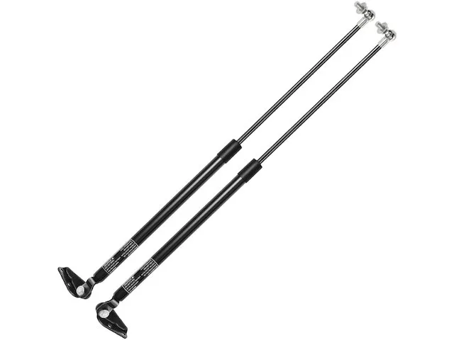 Autopart Premium Tailgate Strut Set