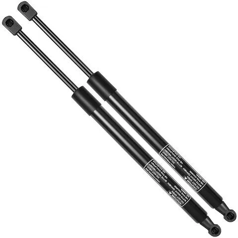 Autopart Premium Rear Tailgate Driver & Passenger Tailgate Strut Set APGS0231
