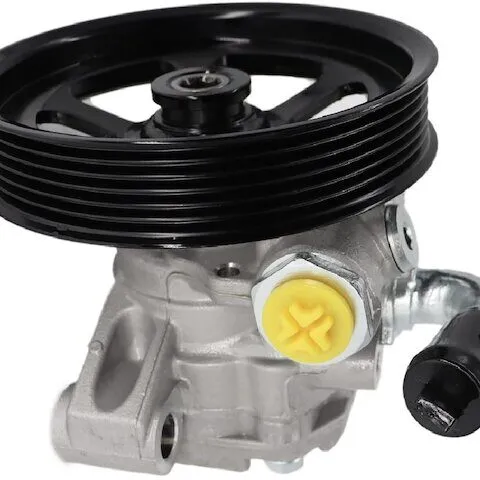 Replacement Power Steering Pump 422-118