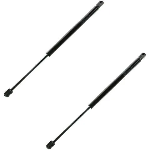 DIY Solutions Hood Strut Set BHS03798