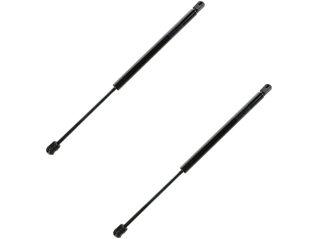 DIY Solutions Hood Strut Set